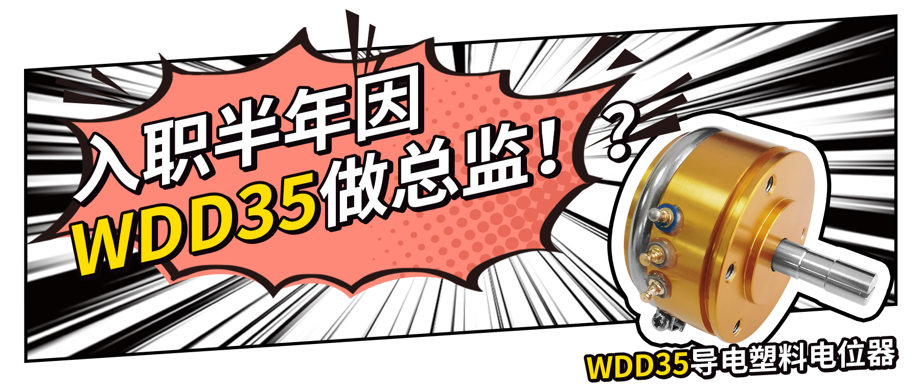 入職半年因WDD35做總監(jiān)？！